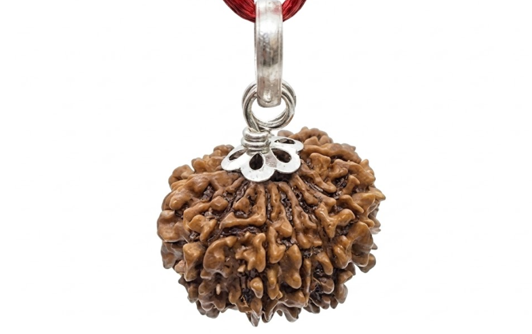 Manufacturer, Exporter, Importer, Supplier, Wholesaler, Retailer, Trader of 12 Mukhi Rudraksha in New Delhi, Delhi, India.