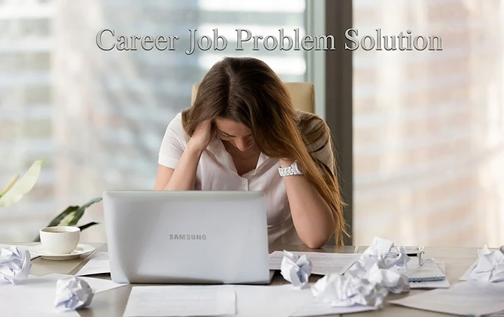 Service Provider of Career Job Problem Solution in New Delhi, Delhi, India.